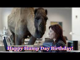 Let's make hump day a national holiday and start now with the celebration. Hump Day Birthday Youtube