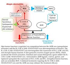 Objektif mewujudkan jalinan kerjasama dengan pertubuhan yang berdaftar di bawah jppm serta memberikan khidmat nasihat dan kefahaman berkaitan. Jcm Free Full Text Regulation Of Skin Barrier Function Via Competition Between Ahr Axis Versus Il 13 Il 4 Jak Stat6 Stat3 Axis Pathogenic And Therapeutic Implications In Atopic Dermatitis Html