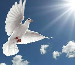 Image result for images The indwelling of the Holy Spirit