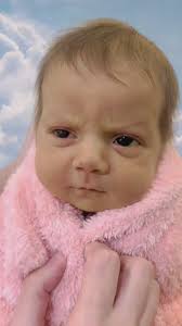 Urbana Class of 1977