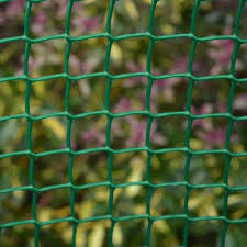 Armand clematis (clematis armandii) is an evergreen clematis that flowers in late march. Climbing Plant Support Mesh Clematis Bean Trellis Green