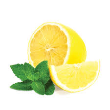 mint png pictures free download mint leaves pepermint free transparent png logos mint png pictures free download mint