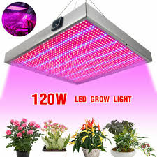 120w led plant wall washer light include a 120pieces of 1wleds (108pcs red leds and 18pcs blue leds ) 2. 120w Led Grow Light Lamp Indoor Plant Pflanzenlampe Pflanzenlicht Wachstumslampe Ebay