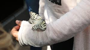 Detail Stadt Augsburg