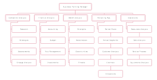 Here Is A Professional Business Planning Division Org Chart