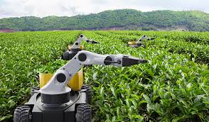 Agricultural Data Science: Harvesting Knowledge
