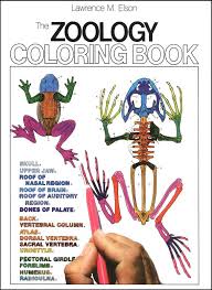 This one of a kind coloring book will take you on an artistic voyage into the microscopic world of cells, the. Zoology Coloring Book Harpercollins 9780064603010