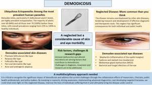 Image result for demodex rosacea