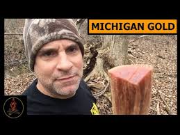 Michigan gold