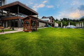 Piscina, plaja pe pontonul de pe lac, tenis, minifotbal, biliard, zona spa. Home Hotel Roser House Colibita