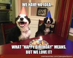 Top 30+ happy birthday meme dog. Birthday Party Happy Birthday Gif Funny Dog Novocom Top