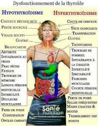 De tête et douleurs abdominales et cette fatigue énorme qui me pourrie la vie de tout les jours le pire est que mon généraliste ne veut rien comprendre et est persuadé que ce n'est pas le levothyrox mais que je passe par une dépression je. Qui Es Tu Chere Glande Thyroide J Ai 50 Ans Et Apres