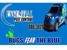 There is no need to call a professional exterminator to help you kill or control every single bug or insect you see running around the house. Essential Pest Control Specialists In Pest Control Tucson Youtube