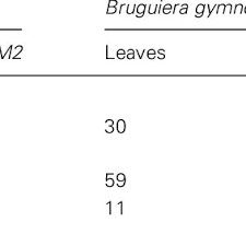 Comparison of amino acid sequence alignment around the critical...