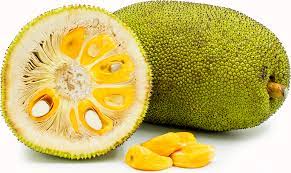 Jack Fruit Information And Facts Jackfruit Breadfruit Jackfruit Health Benefits