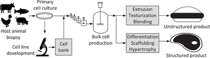 Check spelling or type a new query. Scale Up Economics For Cultured Meat Humbird 2021 Biotechnology And Bioengineering Wiley Online Library