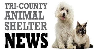 Maybe you would like to learn more about one of these? Tri County Animal Shelter Announces April Promotions The Southern Maryland Chronicle