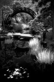 Japanese Garden Black And White Beauty See