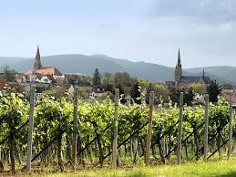 Der staatlich anerkannte luftkurort edenkoben lädt sie herzlich ein, sich selbst ein bild von der weinfrohen stadt zu machen. Die Besten Tourentipps In Edenkoben