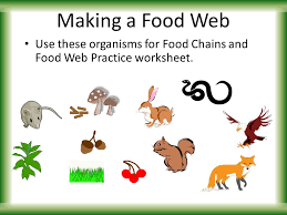 Food chain worksheet answers a leading edge research firm focused on digital transformation good subscriber account active since dow s amp p 500 nasdaq 100 the pandemic recession has thrown a wrench in many people s. Food Chains Webs Introduction To Energy Flow Ppt Video Online Download
