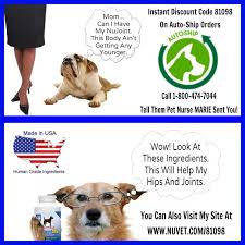 i love my dog natural pet health nujoint ds for canine