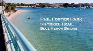 blue heron bridge snorkeling guide snorkel around the world