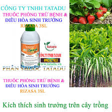 Rizasa 3SL