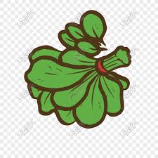 Dengan demikian, sayur bayam yang kamu masak ini akan kaya akan manfaat. Spinach Vector Illustration Png Png Image Psd File Free Download Lovepik 610824077