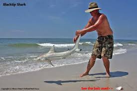 Fishing The Shore Beach Florida Go Fishing