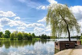 Munster Aasee Natural Landmarks Pictures Muenster