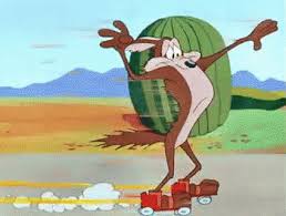 images?q=tbn:ANd9GcQCrtVWVkT6Tw4PW-HS9Wm