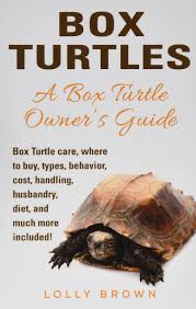 Taking care of box turtles is not always easy. Box Turtles Box Turtle Care Where To Buy Types Behavior Cost Handling Husbandry Diet And Much More Included A Box Turtle Owner S Guide Amazon De Brown Lolly Fremdsprachige Bucher