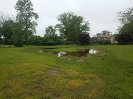 Offering a place to gather unfortunately, if your yard is swampy or muddy, your enjoyment can be significantly affected, and you. Who Do You Call For Yard Drainage Issues