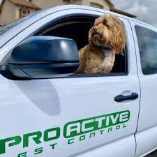 Taking a proactive pest management approach. Pro Active Pest Control 43 Photos 551 Reviews Pest Control 7641 Galilee Rd Roseville Ca Phone Number