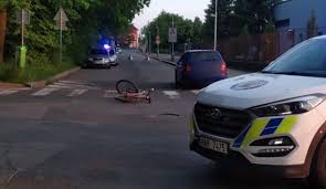 Osud zraněných zvířat nezůstal lhostejný ani brněnskému veterináři jiřímu žákovi. Jedenactilety Cyklista Nedal Prednost Autu U Nehody Zasahoval Vrtulnik Zachranne Sluzby Doprava Zpravy Prazska Drbna Zpravy Z Prahy