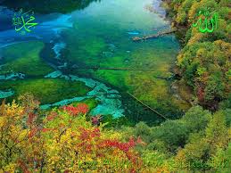 Image result for ALLAH Names HD Wallpapers