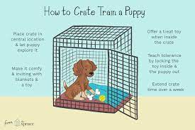 That's not really good for dogs, as they need to move around and change positions more than dog crates allow. Crate Training Your Puppy