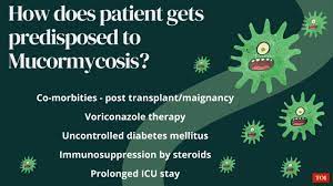The clinical presentation of mucormycosis is initially indistinguishable from other common infections, and if not diagnosed early and aggressively treated, it is almost always fatal. Black Fungus Infection Symptoms Medicines Treatment India News Times Of India