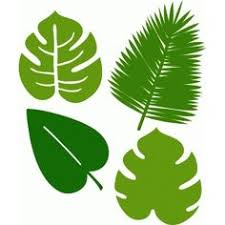 A simple leaf has an undivided blade. 62 Tropical Leaf Outline Ideas Leaf Outline Tropical Leaf Template