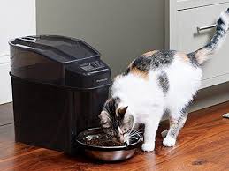 It offers all the key benefits of an automatic cat feeder for a good price. Best Automatic Cat Feeders In 2020 Petsafe Super Feeder And More Business Insider