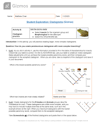 Chicken genetics gizmo answer key. Copy Of Cladogram Animal Morphology Studocu