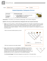 The decay of radioactive atoms generally results in the emission of particles and/or energy. Copy Of Cladogram Animal Morphology Studocu