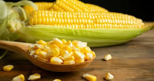 Berbagai manfaat jagung yang perlu anda tahu. Amankah Ibu Hamil Makan Jagung Bakar Popmama Com