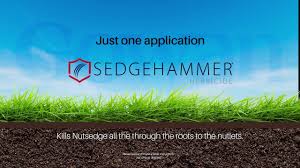 Supplies are currently limited kills grassy weeds right down to the root. 7 Best Nutsedge Killer Selective Herbicides For Nutgrass Gardenine