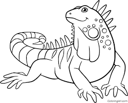 Apr 28, 2009 · click the iguana coloring pages to view printable version or color it online (compatible with ipad and android tablets). 23 Free Printable Iguana Coloring Pages In Vector Format Easy To Print From Any Device And Automatically Animal Coloring Pages Coloring Pages Animal Drawings