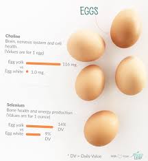 Paleo Foods Eggs Paleo Leap