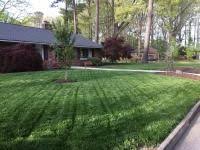 They capture nitrogen from the air and put it in the soil through their roots and falling leaves. Pin On Lawn Fert
