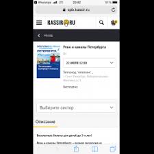 Otzyvy O Kassir Ru Zakaz I Prodazha Biletov Na Koncerty Shou V Teatry Cirk