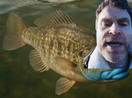 Caught a blue-lipped warblefin earlier! It was a helluva day to sneak out  onto the water! Best thing about all the put-in spots being too flooded  is….. there ain’t a damn game warden or trooper