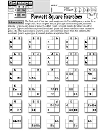Check spelling or type a new query. Punnett Square Activities Biology Classroom Teaching Biology Biology Teacher